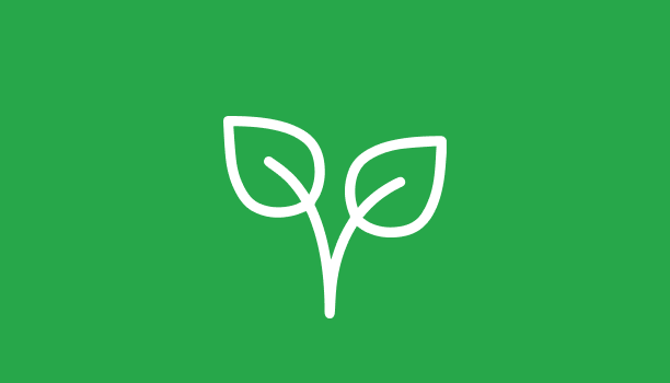 Un pictogramme représentant des feuilles.